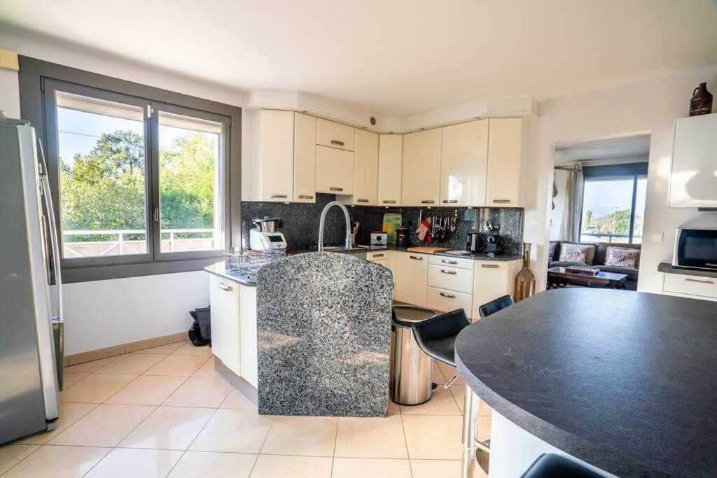 הוילה אנסי Maison Vue Semnoz מראה חיצוני תמונה